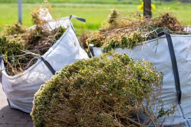 Best Commercial Junk Removal  in Lomira, WI